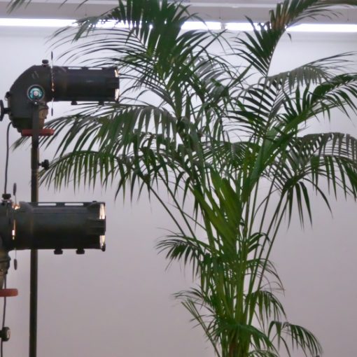 Selecon Scheinwerfer